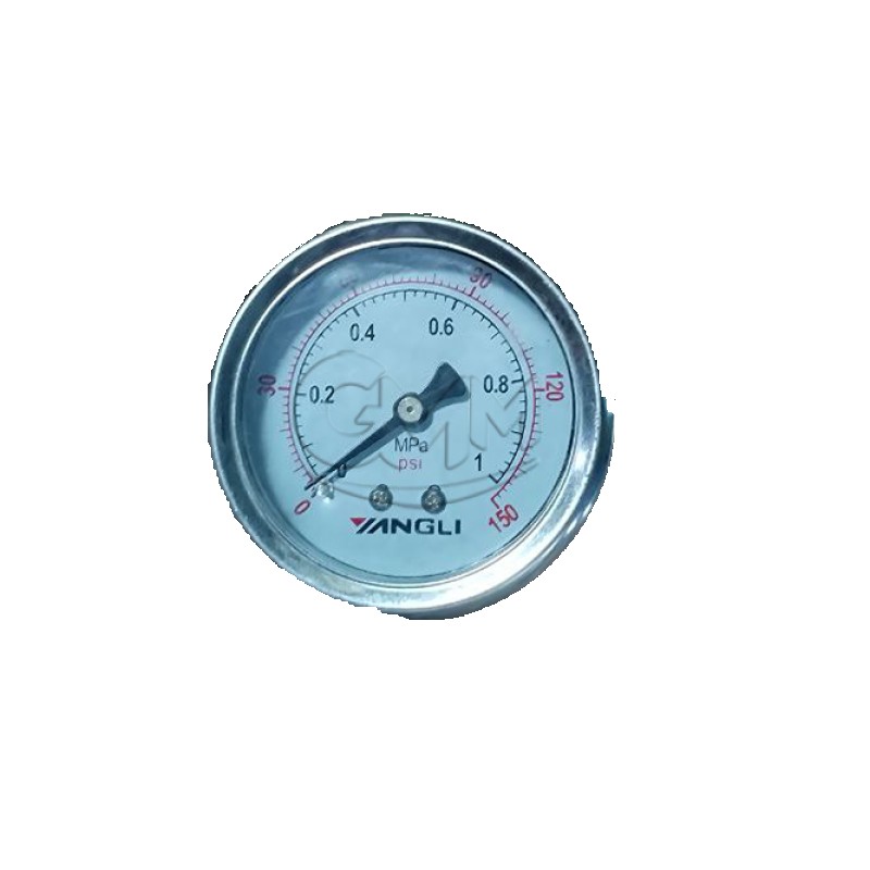 WEIJIE pressure gauge WJF29 YANGLI